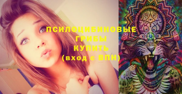 таблы Горняк