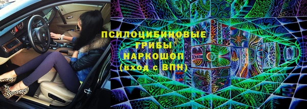 дживик Горно-Алтайск