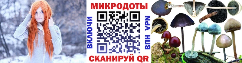Купить  Бобров  Галлюциногенные грибы Psilocybine cubensis 